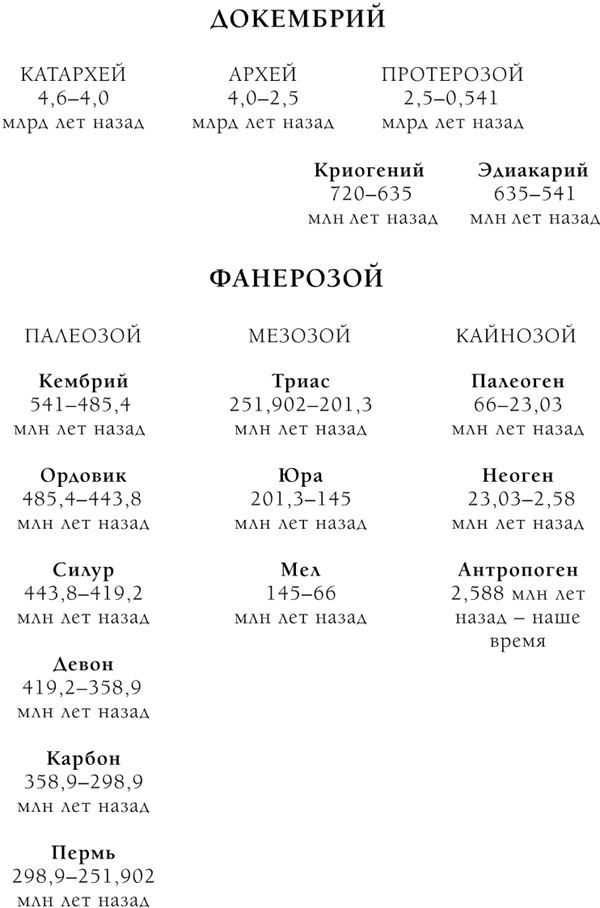 Иллюстрация к книге — Палеонтология антрополога. Книга 2. Мезозой [i_004.jpg]