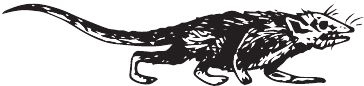 Иллюстрация к книге — Палеонтология антрополога. Книга 2. Мезозой [i_069.jpg]