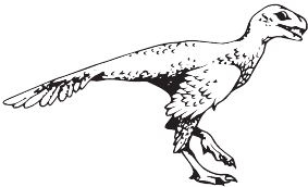 Иллюстрация к книге — Палеонтология антрополога. Книга 2. Мезозой [i_095.jpg]