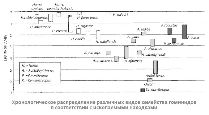 Иллюстрация к книге — Сапиенс для пляжа: изучаем происхождение человека [i_002.jpg]