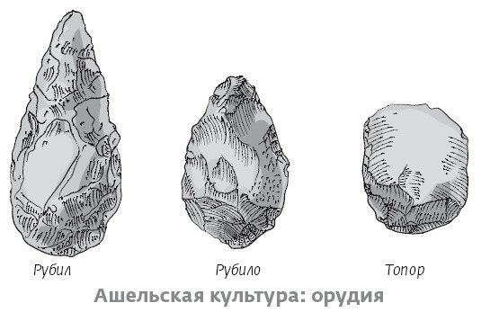 Иллюстрация к книге — Сапиенс для пляжа: изучаем происхождение человека [i_019.jpg]