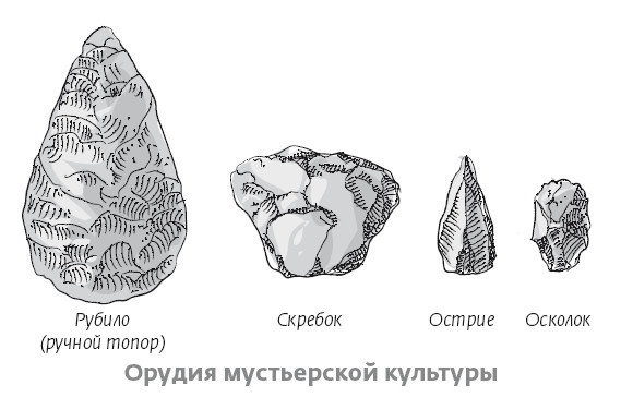 Иллюстрация к книге — Сапиенс для пляжа: изучаем происхождение человека [i_027.jpg]