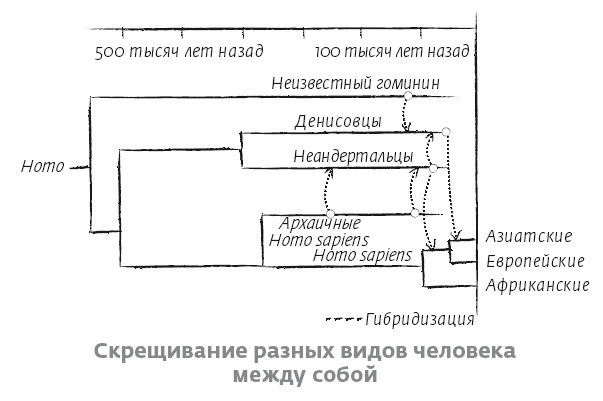 Иллюстрация к книге — Сапиенс для пляжа: изучаем происхождение человека [i_033.jpg]