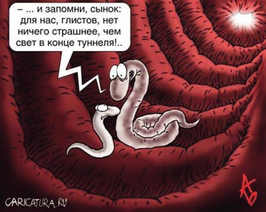 Иллюстрация к книге — Аллергия. Истинные причины. Лечение [i_040.jpg]