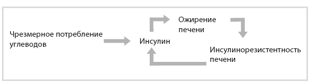 Код диабета. Научные данные о том, как диабет 2-го типа стал самой «внезапной» болезнью столетия, и простая программа восстановления без инъекций и лекарств