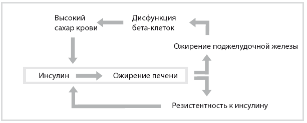 Код диабета. Научные данные о том, как диабет 2-го типа стал самой «внезапной» болезнью столетия, и простая программа восстановления без инъекций и лекарств