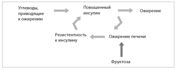 Код диабета. Научные данные о том, как диабет 2-го типа стал самой «внезапной» болезнью столетия, и простая программа восстановления без инъекций и лекарств
