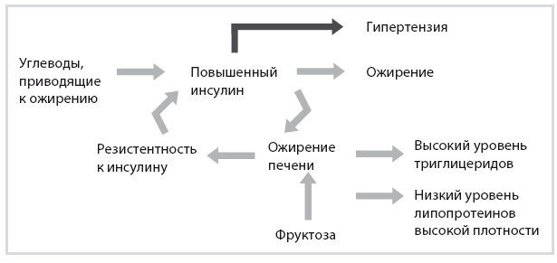 Код диабета. Научные данные о том, как диабет 2-го типа стал самой «внезапной» болезнью столетия, и простая программа восстановления без инъекций и лекарств