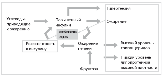 Код диабета. Научные данные о том, как диабет 2-го типа стал самой «внезапной» болезнью столетия, и простая программа восстановления без инъекций и лекарств