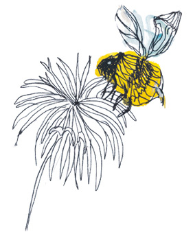 Иллюстрация к книге — Время услышать себя. Практики осознанности, доброты и сострадания к себе на целый год [img_102.jpg]