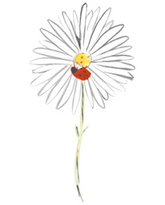 Иллюстрация к книге — Время услышать себя. Практики осознанности, доброты и сострадания к себе на целый год [img_149.jpg]