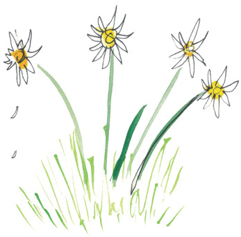 Иллюстрация к книге — Время услышать себя. Практики осознанности, доброты и сострадания к себе на целый год [img_31.jpg]