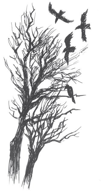 Иллюстрация к книге — Судьба и ремесло [image3.jpg]