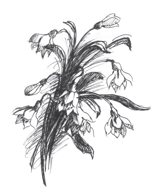 Иллюстрация к книге — Судьба и ремесло [image4.jpg]