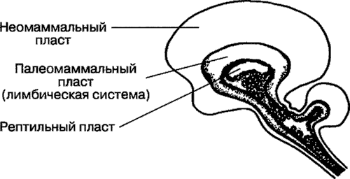 Иллюстрация к книге — Мотивация человека [i_016.jpg]