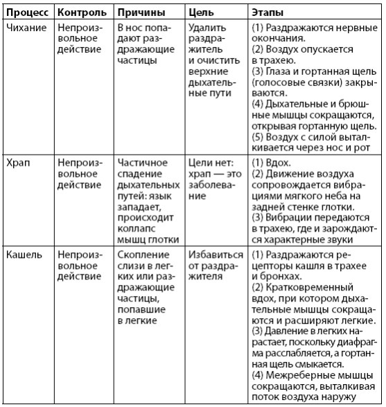 Иллюстрация к книге — Взламывая анатомию [image150.jpg]