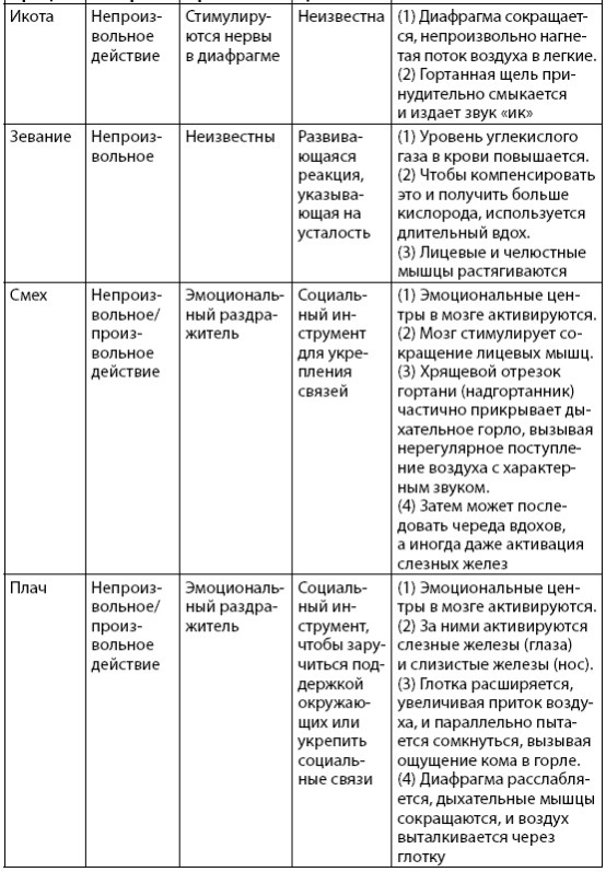 Иллюстрация к книге — Взламывая анатомию [image151.jpg]