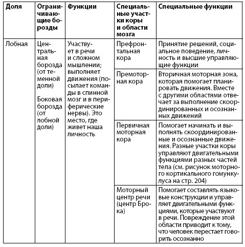 Иллюстрация к книге — Взламывая анатомию [image164.jpg]