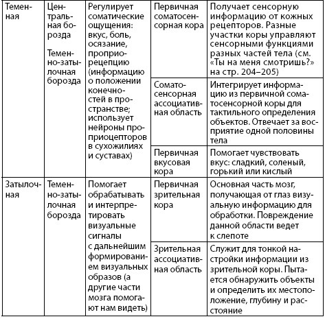 Иллюстрация к книге — Взламывая анатомию [image165.jpg]
