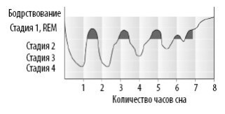 Иллюстрация к книге — Взламывая анатомию [image199.jpg]