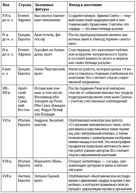 Иллюстрация к книге — Взламывая анатомию [image4.jpg]