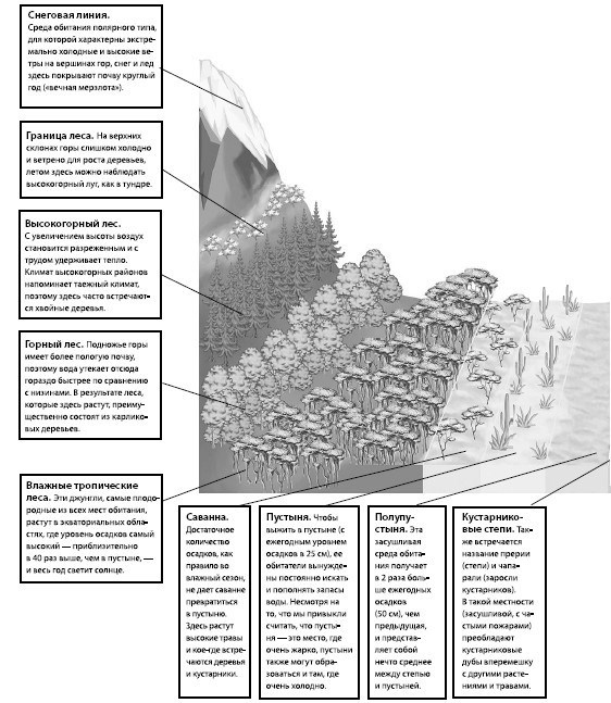 Иллюстрация к книге — Взламывая планету Земля [image247.jpg]