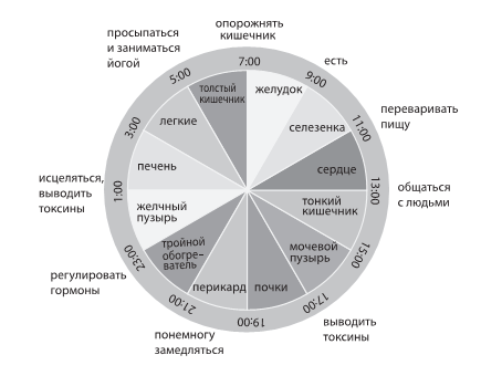 Иллюстрация к книге — Городской монах [i_006.jpg]