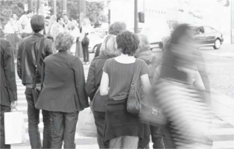 Иллюстрация к книге — Сладкая жизнь в Париже. Гастрономические авантюры в самом прославленном и противоречивом городе мира [i_016.jpg]