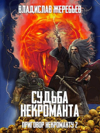 Книга Судьба некроманта