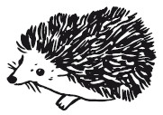 Иллюстрация к книге — 25 граммов счастья. История маленького ежика, который изменил жизнь человека [i_006.jpg]