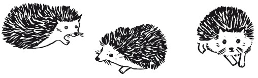 Иллюстрация к книге — 25 граммов счастья. История маленького ежика, который изменил жизнь человека [i_012.jpg]