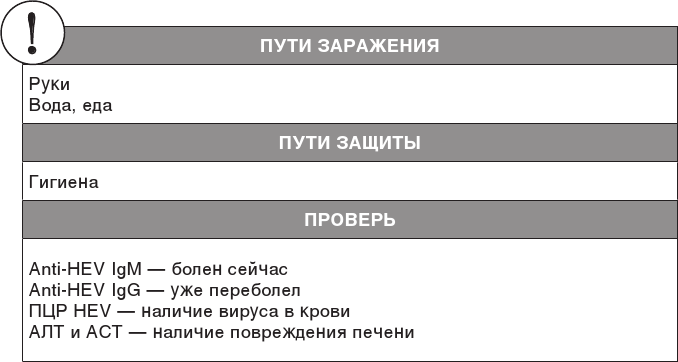 Иллюстрация к книге — О чем молчит печень. Как уловить сигналы самого крупного внутреннего органа, который предпочитает оставаться в тени [i_037.jpg]