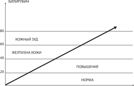 Иллюстрация к книге — О чем молчит печень. Как уловить сигналы самого крупного внутреннего органа, который предпочитает оставаться в тени [i_055.jpg]