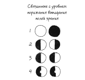 Иллюстрация к книге — История зрения: путь от светочувствительности до глаза [i_023.jpg]