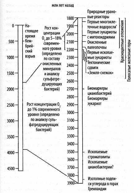 Иллюстрация к книге — Кислород. Молекула, изменившая мир [i_002.jpg]