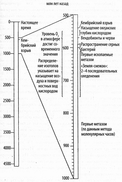 Иллюстрация к книге — Кислород. Молекула, изменившая мир [i_004.jpg]