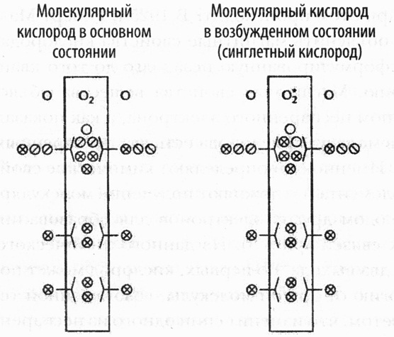 Иллюстрация к книге — Кислород. Молекула, изменившая мир [i_008.jpg]