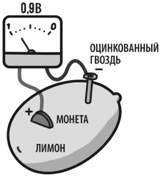 Иллюстрация к книге — Электроника для начинающих [i_244.jpg]