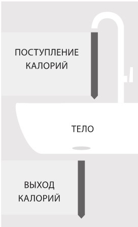 Иллюстрация к книге — Интервальное голодание. Как восстановить свой организм, похудеть и активизировать работу мозга [i_046.jpg]