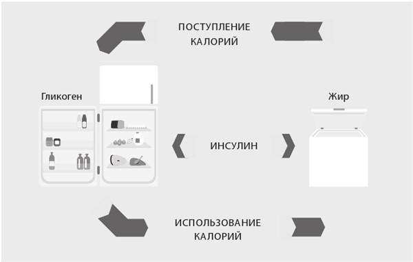 Иллюстрация к книге — Интервальное голодание. Как восстановить свой организм, похудеть и активизировать работу мозга [i_047.jpg]
