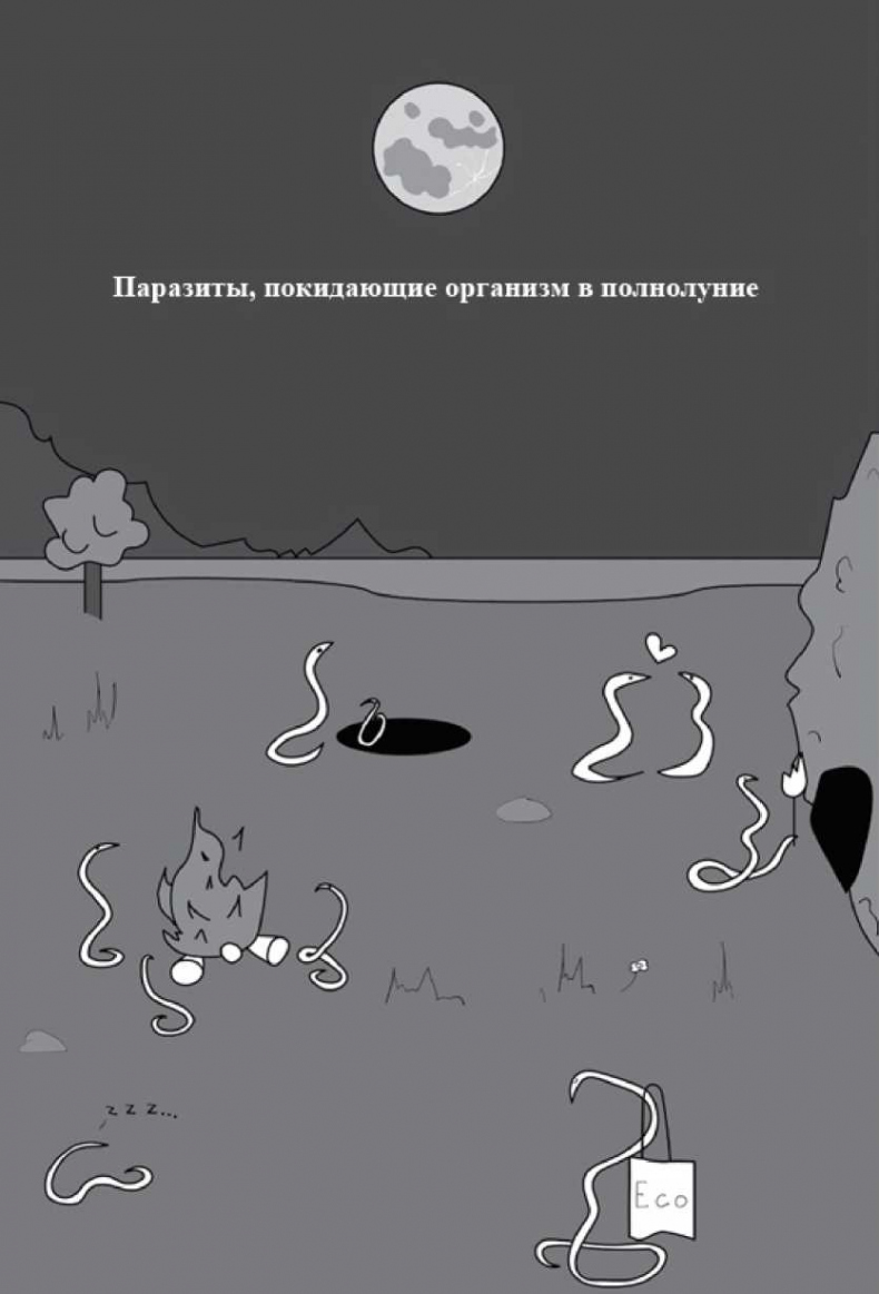 Иллюстрация к книге — На ошибках учатся. Как не попасть в ловушку медицинских мифов [i_012.jpg]