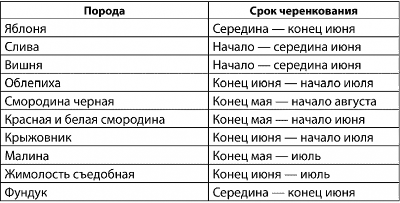 Иллюстрация к книге — Как обустроить сад и зарабатывать на нем [i_010.jpg]