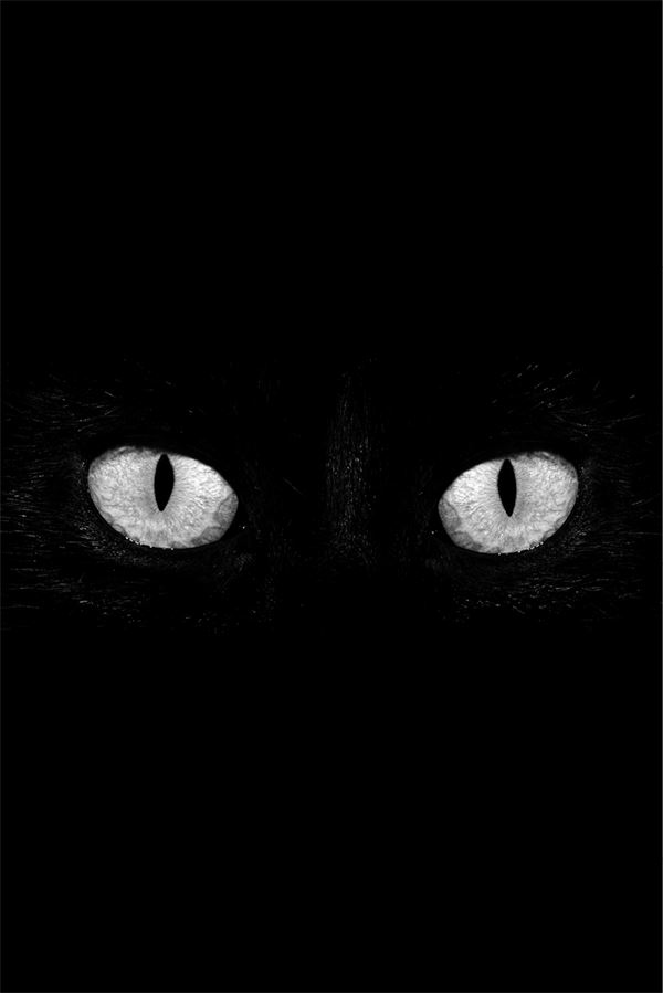 Иллюстрация к книге — 99 секретов физики [i_025.jpg]