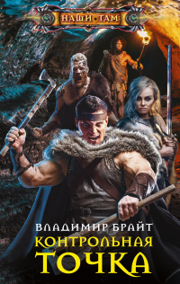 Книга Контрольная точка