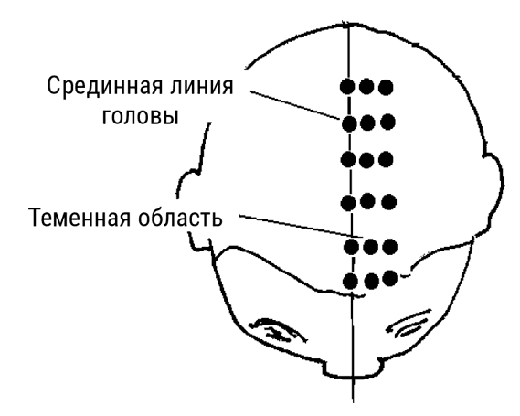 Иллюстрация к книге — Большой самоучитель исцеляющих точек. Подробный атлас, приемы и упражнения [i_035.jpg]