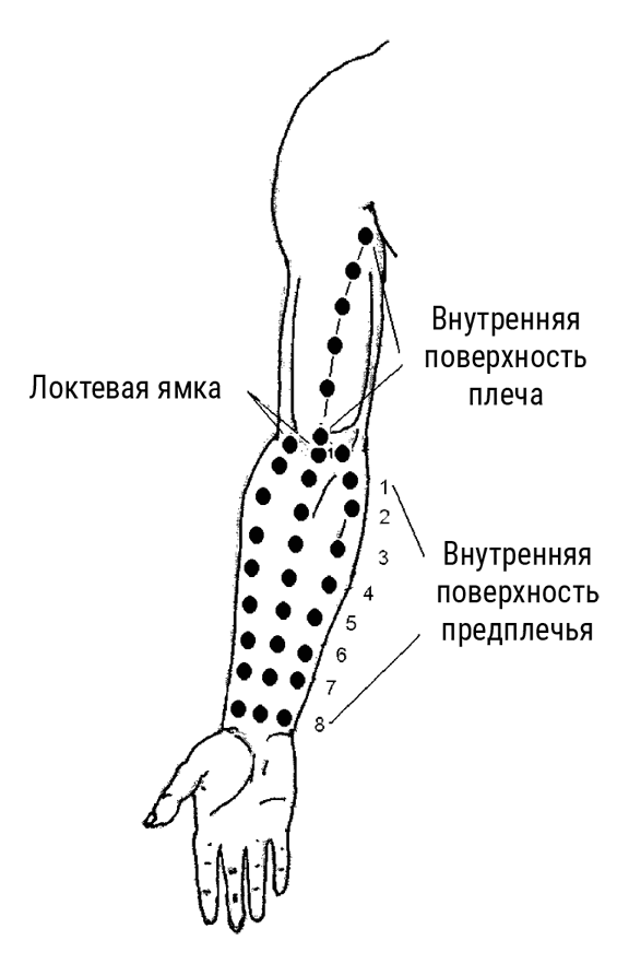 Иллюстрация к книге — Большой самоучитель исцеляющих точек. Подробный атлас, приемы и упражнения [i_047.jpg]