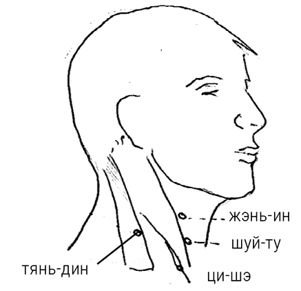 Иллюстрация к книге — Большой самоучитель исцеляющих точек. Подробный атлас, приемы и упражнения [i_271.jpg]