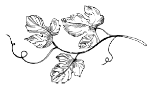 Иллюстрация к книге — Земли семи имён [i_003.jpg]