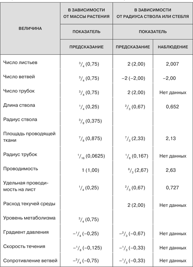 Масштаб. Универсальные законы роста, инноваций, устойчивости и темпов жизни организмов, городов, экономических систем и компаний