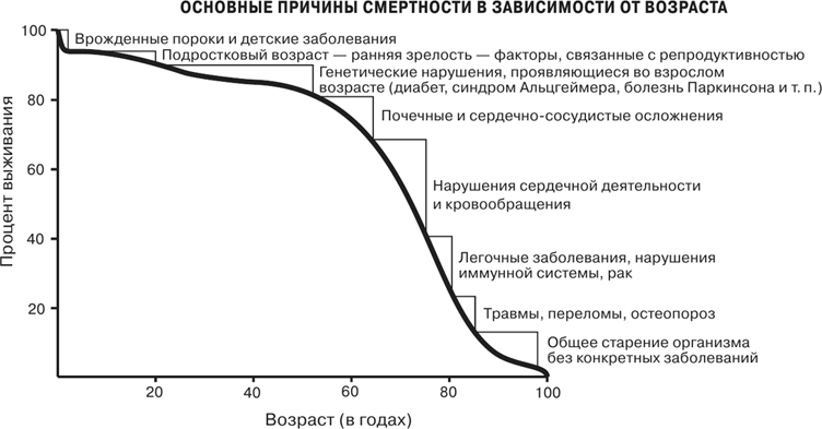 Масштаб. Универсальные законы роста, инноваций, устойчивости и темпов жизни организмов, городов, экономических систем и компаний
